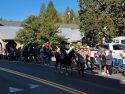 49er Festival and Parade in Groveland