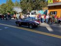 49er Festival and Parade in Groveland