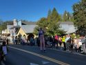 49er Festival and Parade in Groveland