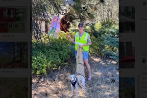 Volunteer picking up trash