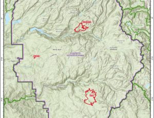 Yosemite Wildfires