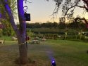 2022 Ungala at Niemeth Manor