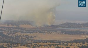 Vegetation Fire At Salt Springs Resevoir