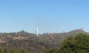 Woods Fire