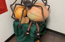 10_22 Jim Bliss Spider Pumpkin