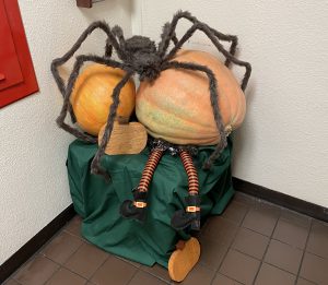 10_22 Jim Bliss Spider Pumpkin