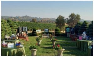23rd annual Celebrate Life art auction held at Karmere Winery and Vineyards in Plymouth