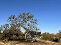 Meadow Fire in the Burson area of Calaveras County