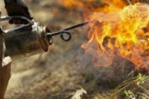 Prescribed burning with torch