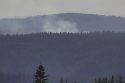 Vegetation fire in rural Oakdale at 2 p.m.