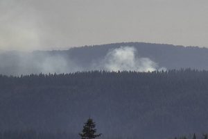 Vegetating fire near Oakdale 2:30 p.m.