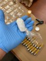 Meth bust in Mariposa County