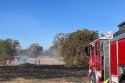 Vegetation fire in Burson on Pettinger Road