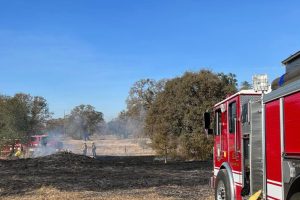 Vegetation fire in Burson on Pettinger Road