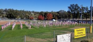 Field of Honor Photo by Dave Thoeny
