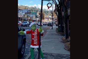 Grinch in spotted in Sonora