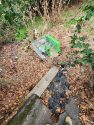 Pet rats abandoned in cage tossed onto the ground in the rain and cold
