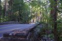 Yosemite Valley’s Yosemite Creek Bridge turned one hundred years old this year