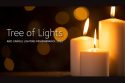 AHSH Tree of Lights 2022