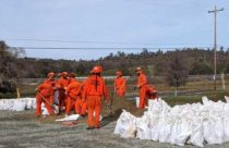 Calaveras County Vallecito Camp crews filling sandbags