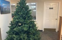 Christmas Tree MML Photo