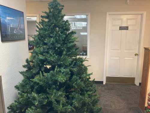 Christmas Tree MML Photo