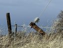 Downed power pole and lines close a section of Hogan Dam Road in Calaveras County
