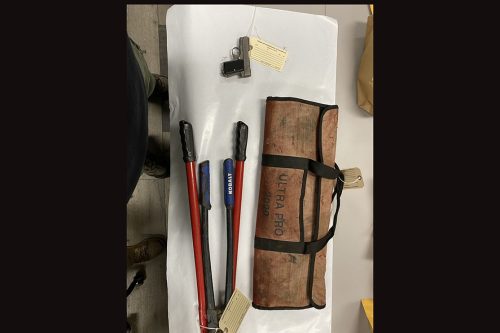 Items found in suspect's residence