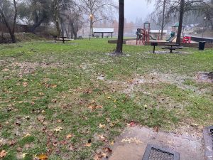 Woods Creek Park MML Photo Photo by Sabrina Biehl