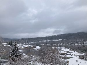 Snow In Sonora