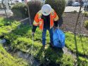 Caltrans Clean California volunteer picking up trash