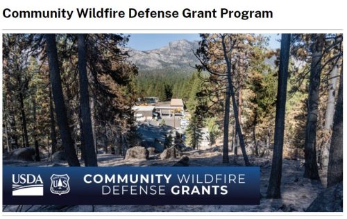 Wildfire Grants