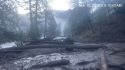 Downed trees on Highway 140 between Bug Hostel and Cedar Lodge