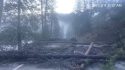 Downed trees on Highway 140 between Bug Hostel and Cedar Lodge