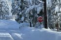 Heavy snowfall in Tuolumne County