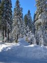 Several feet of snow in the Pinecrest area on the Summit Ranger District on STF