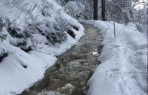 Water Ditch