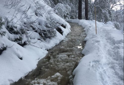 Water Ditch