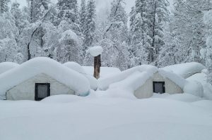 Curry Village Tents In Yosemite