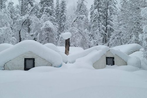 Curry Village Tents In Yosemite