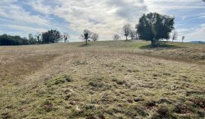 Eureka Oaks Property