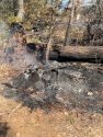 Fire in STF in the Jupiter area of Tuolumne County