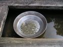 Panning for Gold