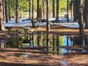 Pinecrest Lake area still with snow on the ground