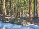 Pinecrest Lake area still with snow on the ground