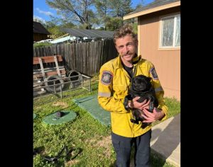 Calaveras Consolidated Fire Department Rescues Pug