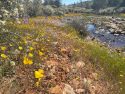 Red Hills Recreation Area