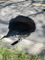 Sinkhole that opened up on Parrotts Ferry Road near Sawmill Flat Road in Columbia