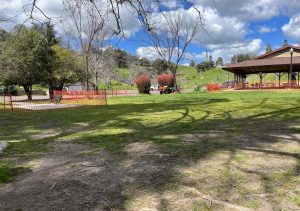 Utica Park Work Underway