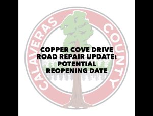 Copper Cove Drive